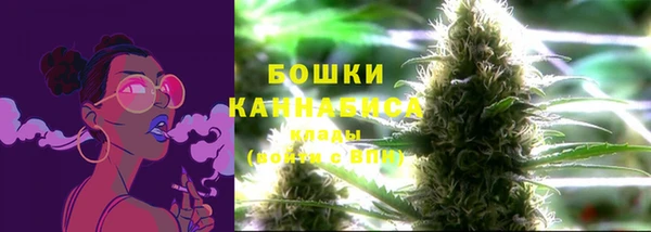 спайс Галич