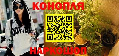 apvp Гай